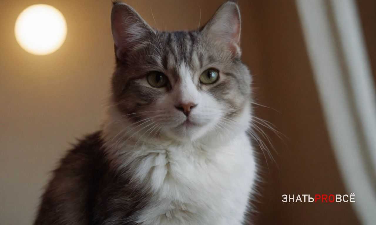 5. Специальные добавки