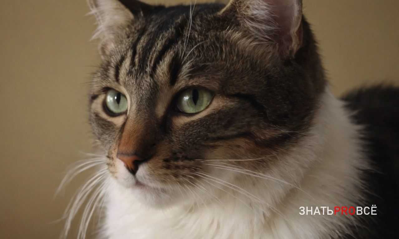 Увлажнение и правильное питье