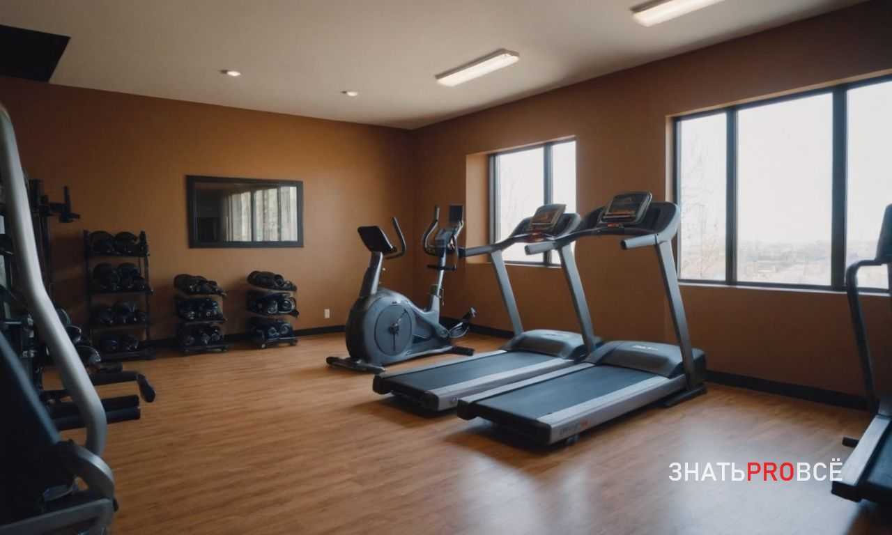 Эпигенетика - как образ жизни может влиять на работу наших генов