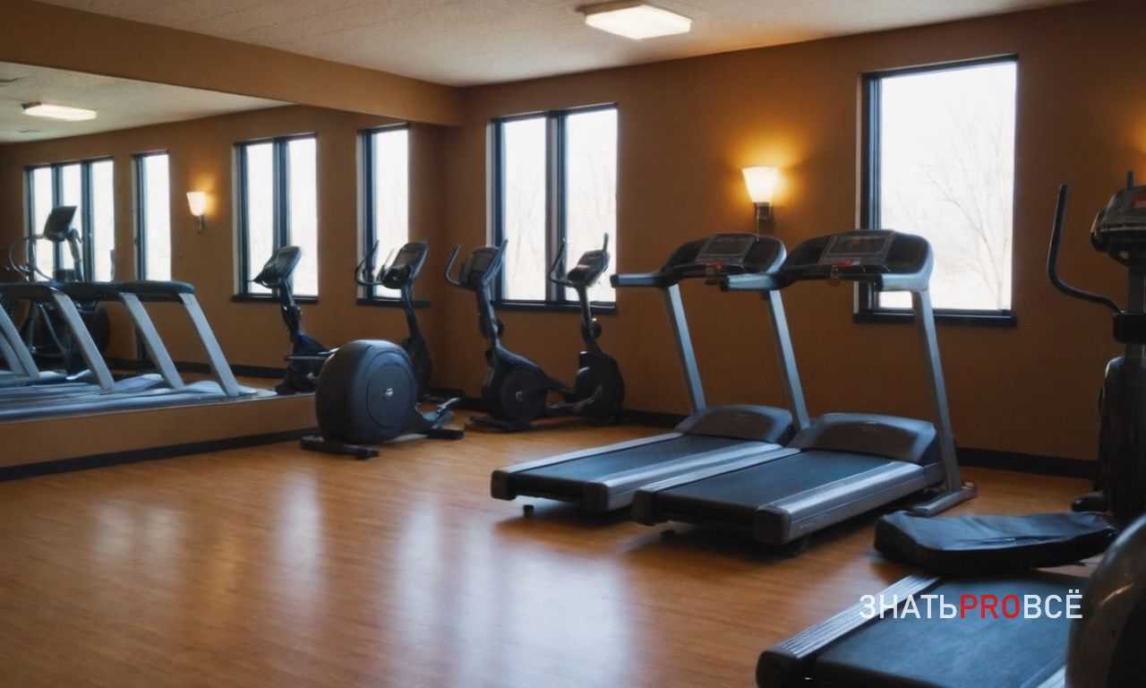 Гаджеты для мониторинга состояния организма