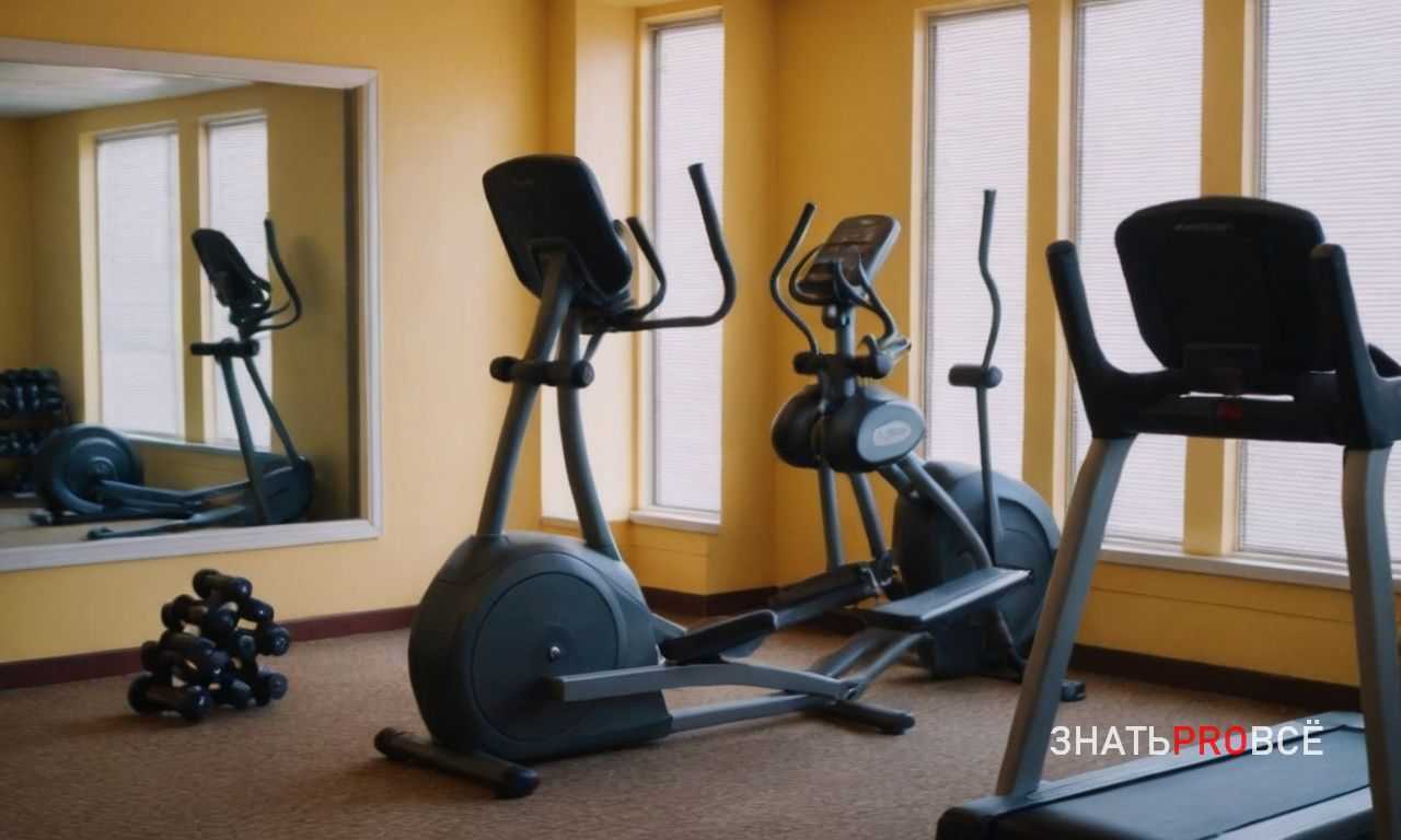 Как цепи и резина меняют кривую сопротивления в силовых тренировках