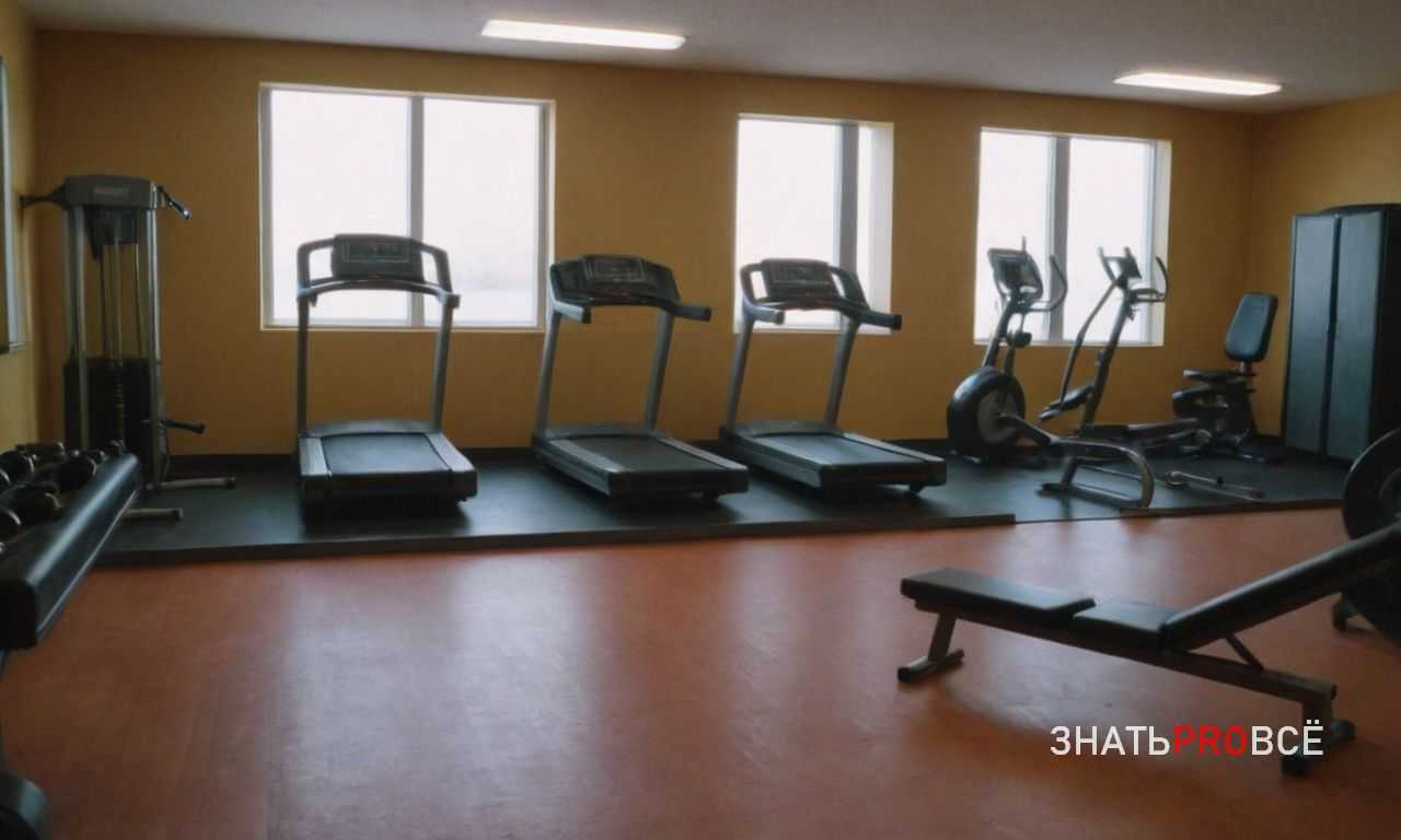 Профилактика болей в спине: комплексы упражнений для тренеров