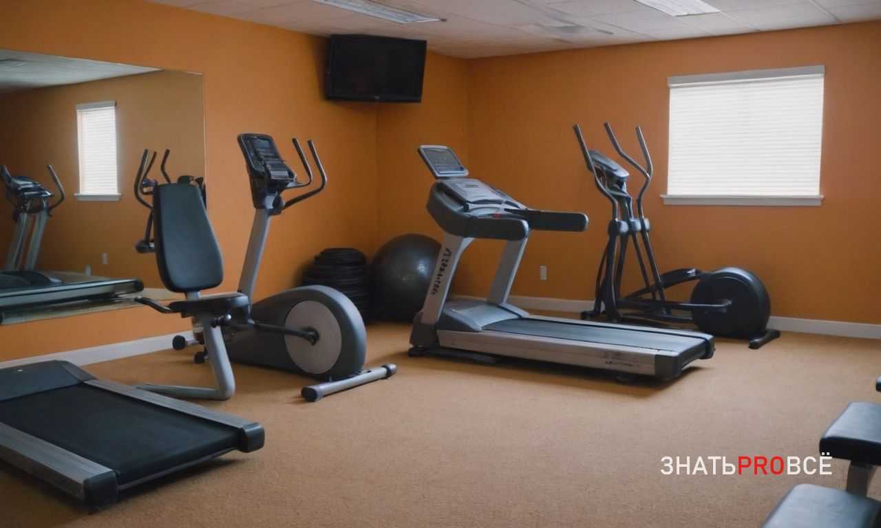 Тепловизионное обследование в спорте - выявление воспалений и зон перегрузки