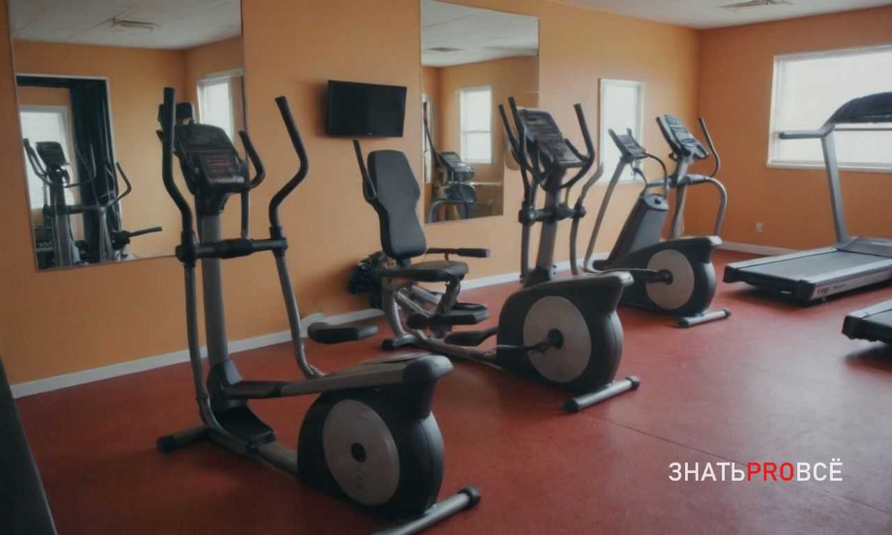 Рефиды и диетические перерывы - стратегия для долгосрочного похудения