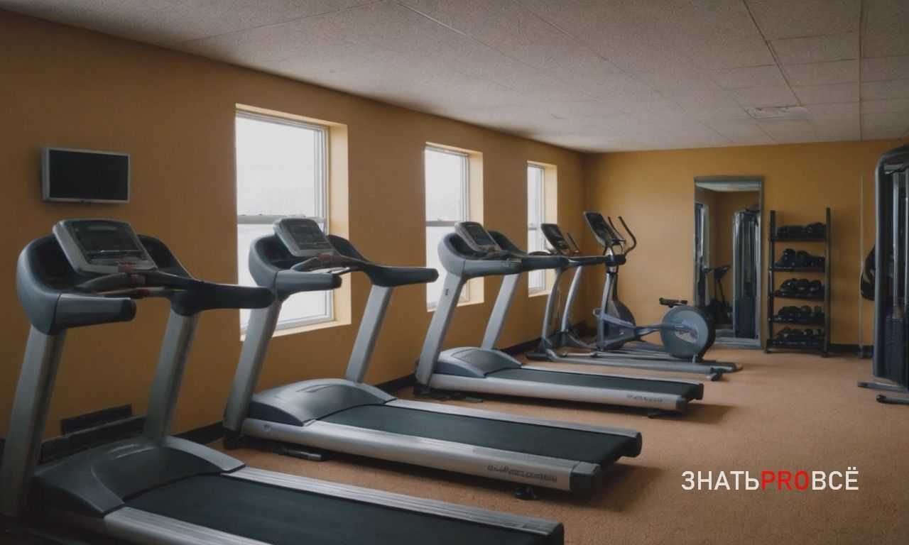 Биохакинг для спортсменов - оптимизация производительности через науку и технологии