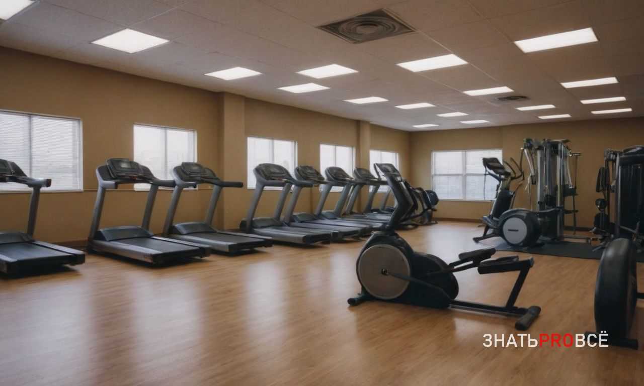 Питание до тренировки