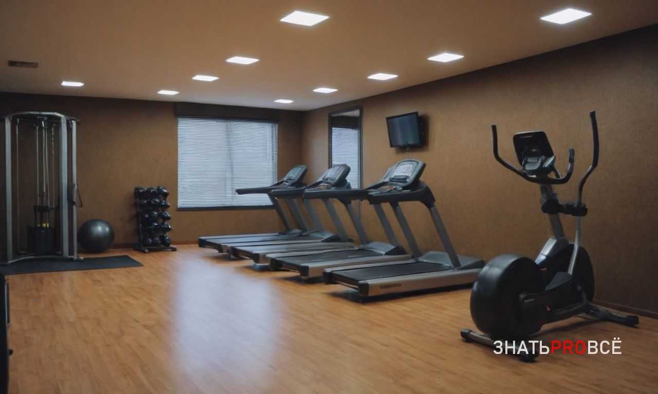 Влияние социальных связей на долголетие и здоровье
