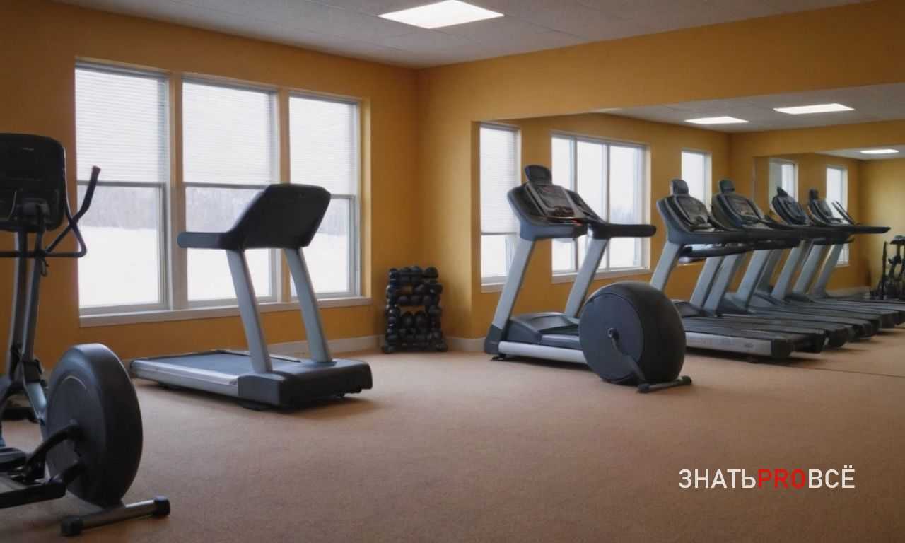 Рекомендации по дозировке CBD для улучшения восстановления