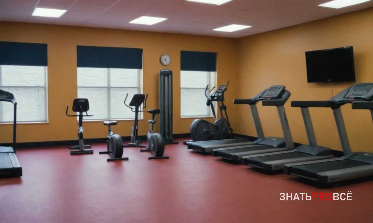 Как поддержка на работе способствует гармоничному балансу между трудом и отдыхом