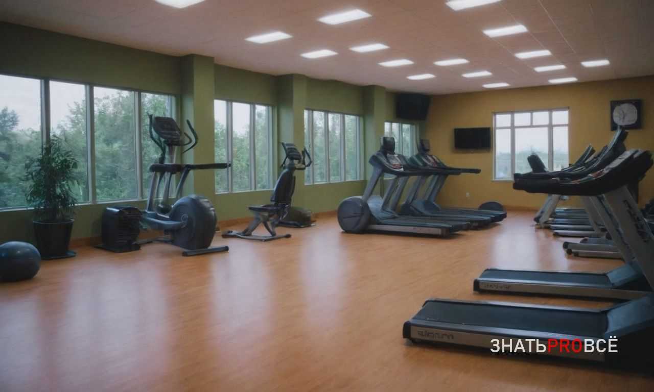 Рефлексия и мотивация для новых достижений