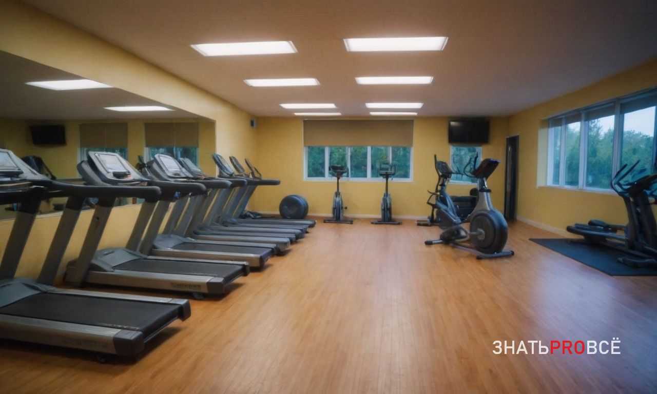 Как выбрать спортивный напиток - изотоник, гипотоник, гипертоник