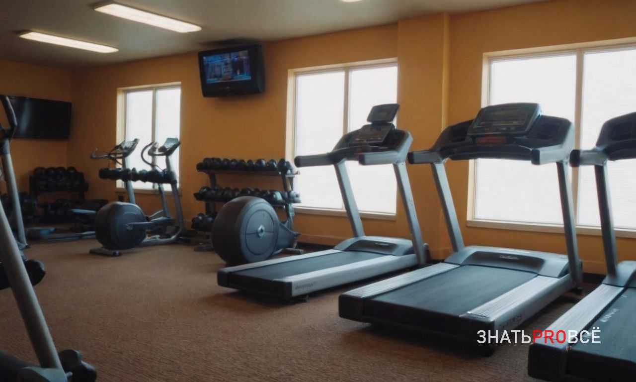 Вредные привычки и спорт - как курение и алкоголь влияют на результаты