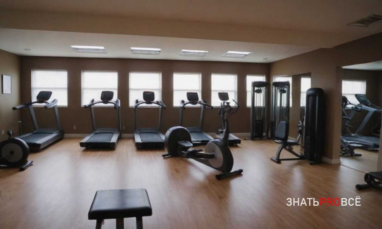 Чистое питание и подготовка пищи: как сделать процесс удобным и быстрым