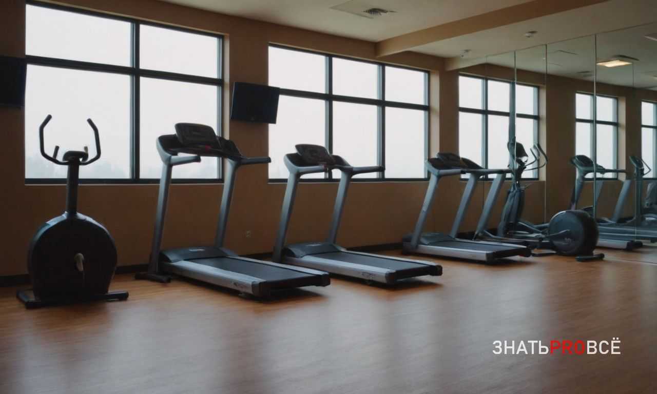 Тренировки исторического фехтования: как организовать эффективный процесс подготовки