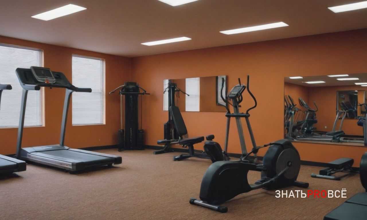 Почему LISS идеально подходит для восстановления после интенсивных тренировок