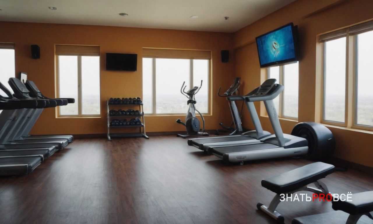 Спортивное питание с CBD - потенциальная польза для восстановления и сна