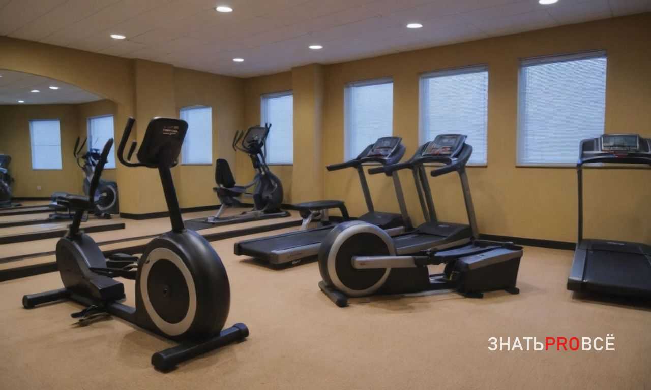 Развитие способностей и философия движения