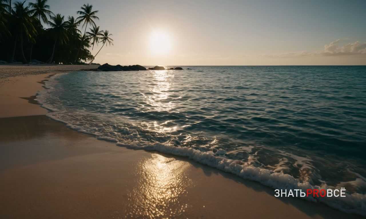 4. Лучшие места – это те, где подают перуанскую кухню