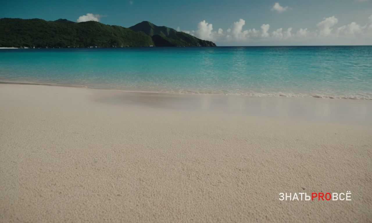 Где на Сейшелах можно насладиться уникальными подводными экскурсиями?