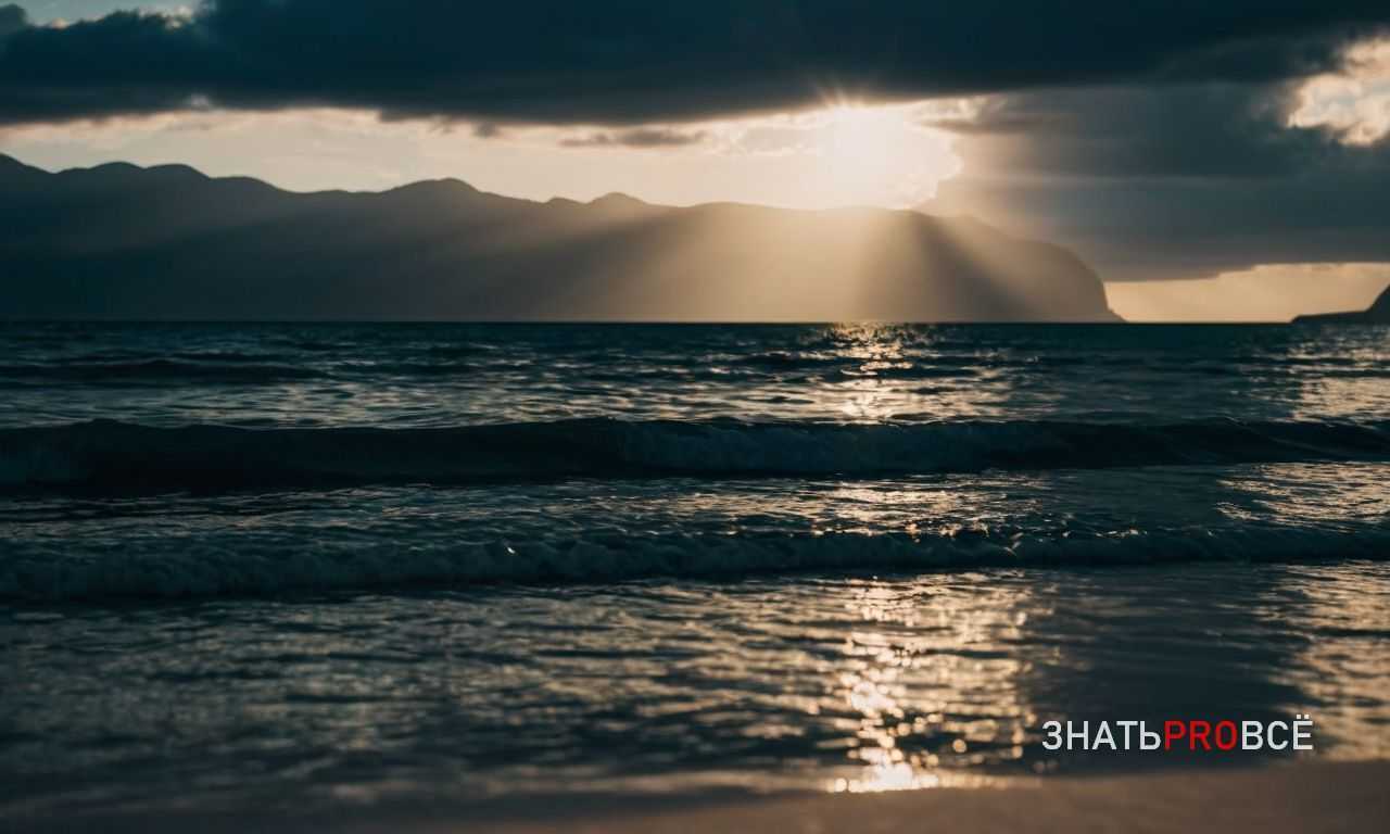 Что брать с собой на сафари для комфортного наблюдения за дикой природой