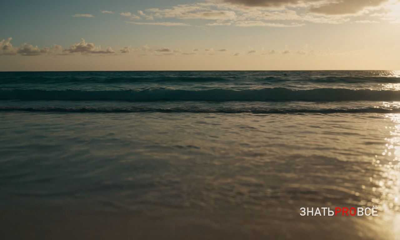 Походы по джунглям и горам