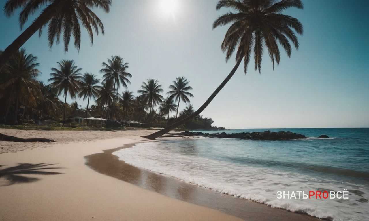 Что обязательно взять с собой в отпуск на Мальдивы: советы по упаковке