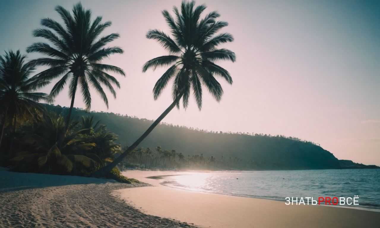 Как определять съедобные растения и грибы