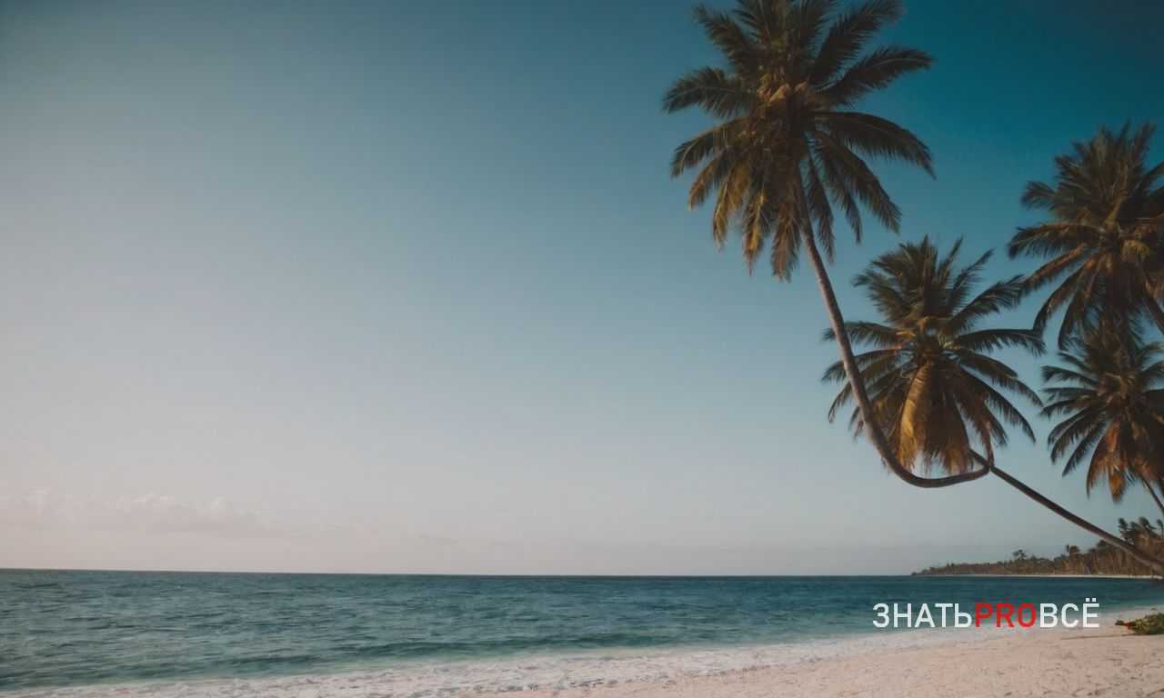 Отдых на Тенерифе - пляжи и горные маршруты