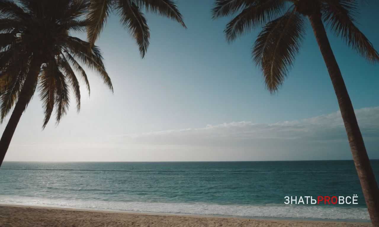 Дайвинг на Мальдивах - подводный рай для новичков и профи