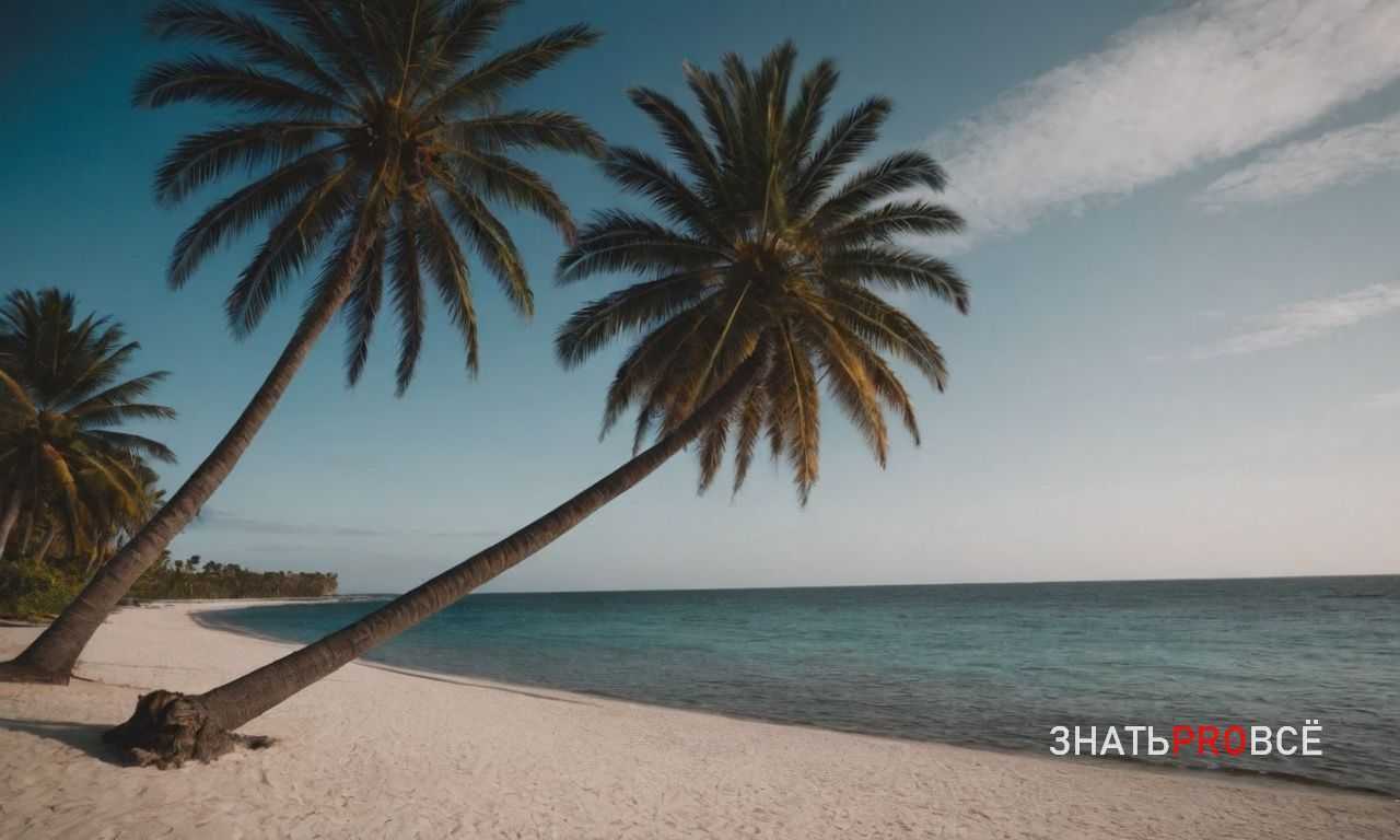 Туризм в Боливии - солончак Уюни и природа Анд