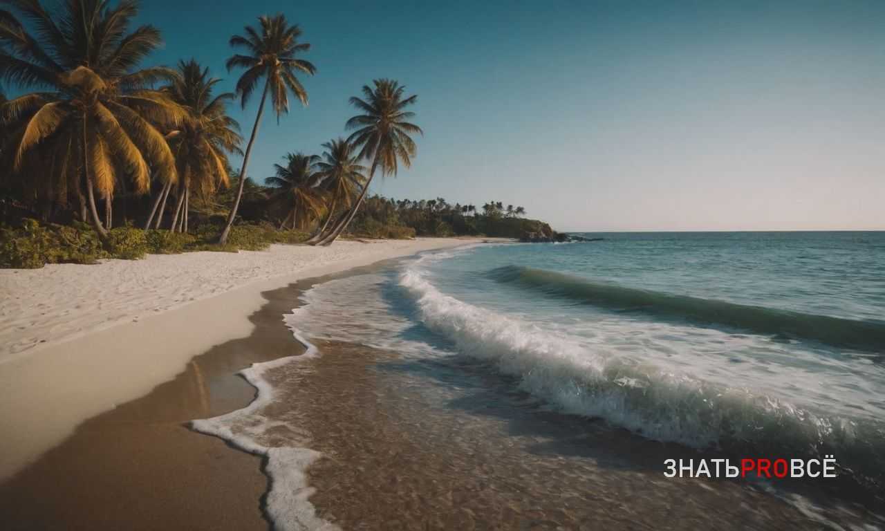 Лучшие места для дайвинга на Маршалловых островах