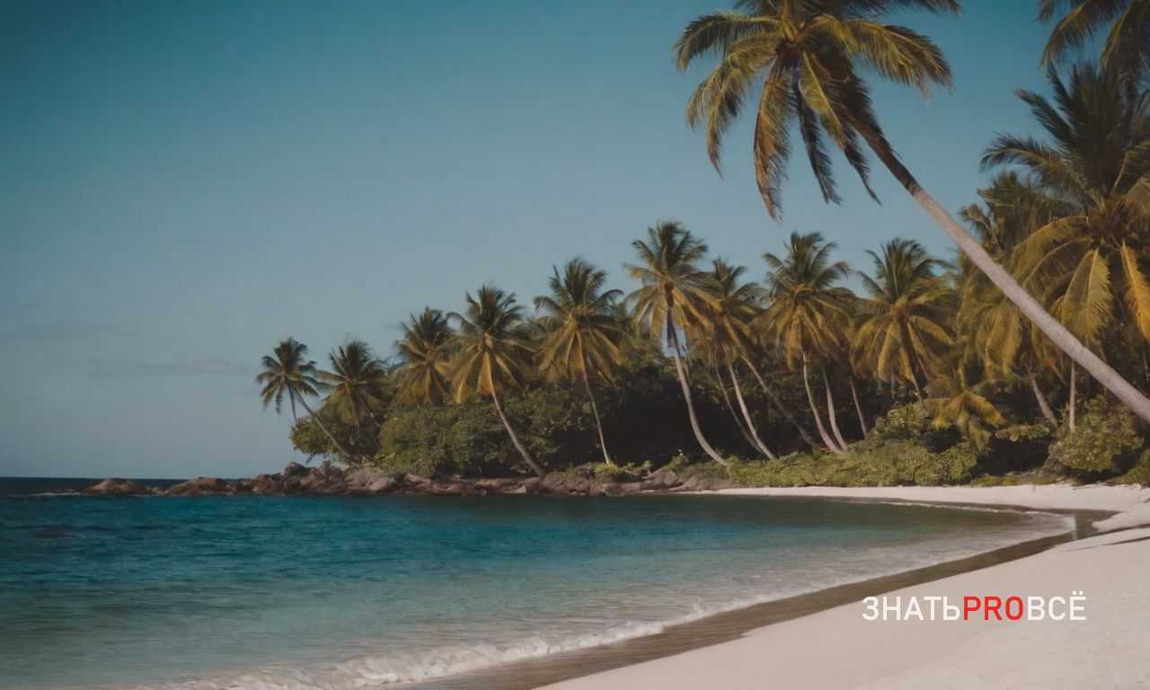 Налоговые особенности Панамы