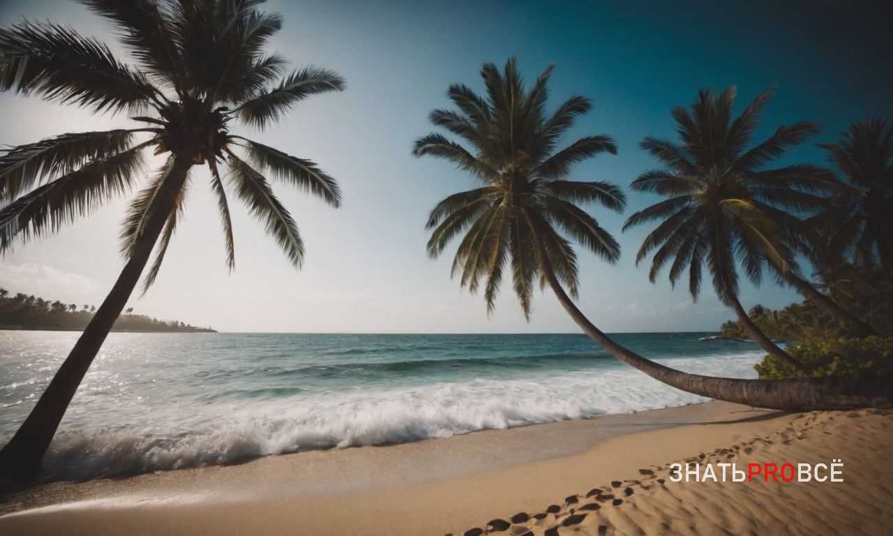 Авиарейсы в Южную Корею