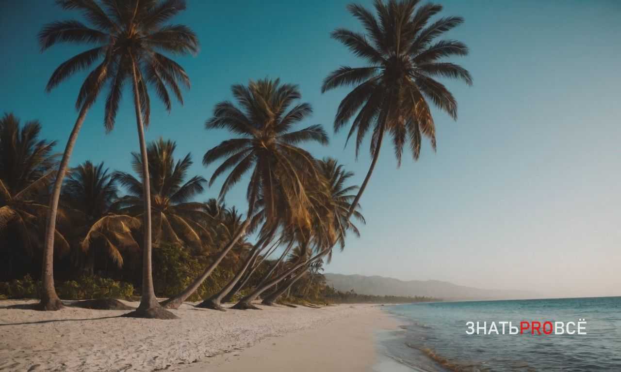 Отдых в ОАЭ - роскошные курорты и приключения в пустыне