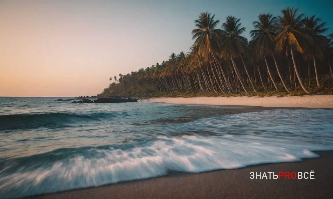 Что попробовать на Шри-Ланке: традиционная кухня и напитки для гурманов
