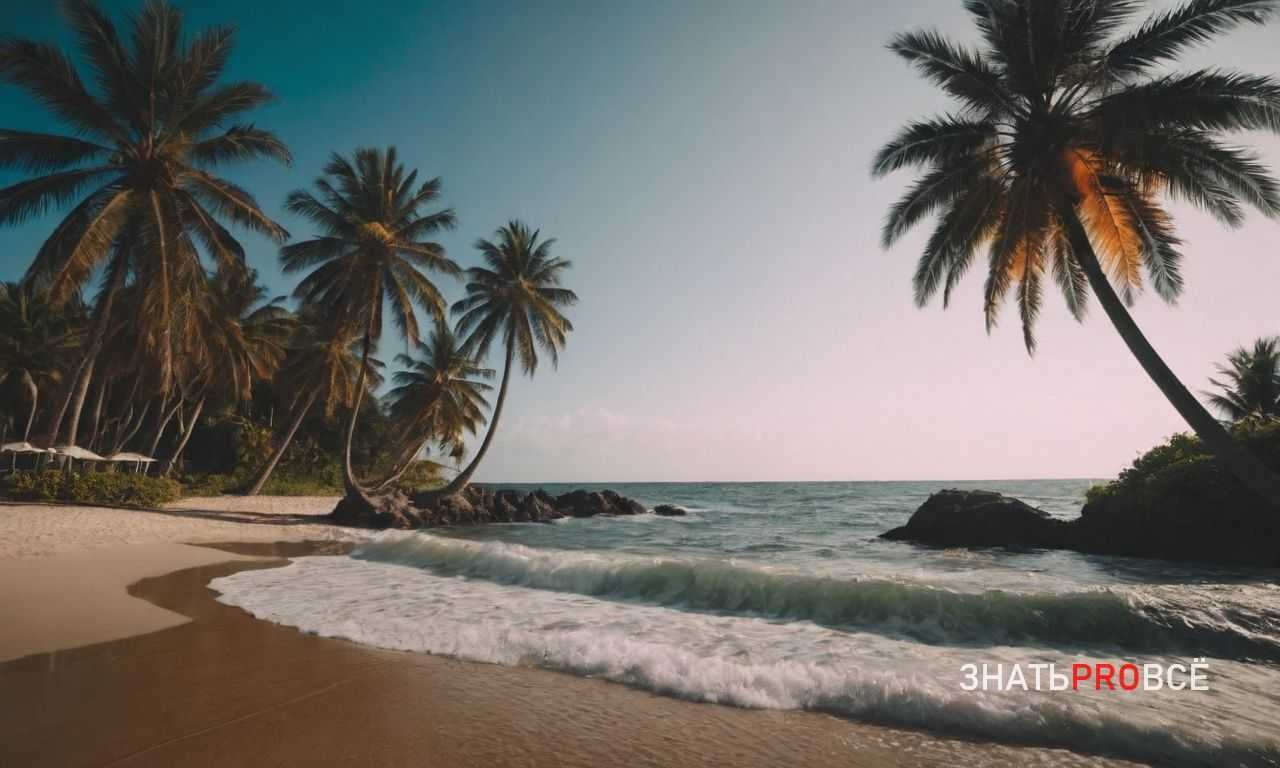 Как подготовить камеру и экипировку для съемки в условиях пустыни?