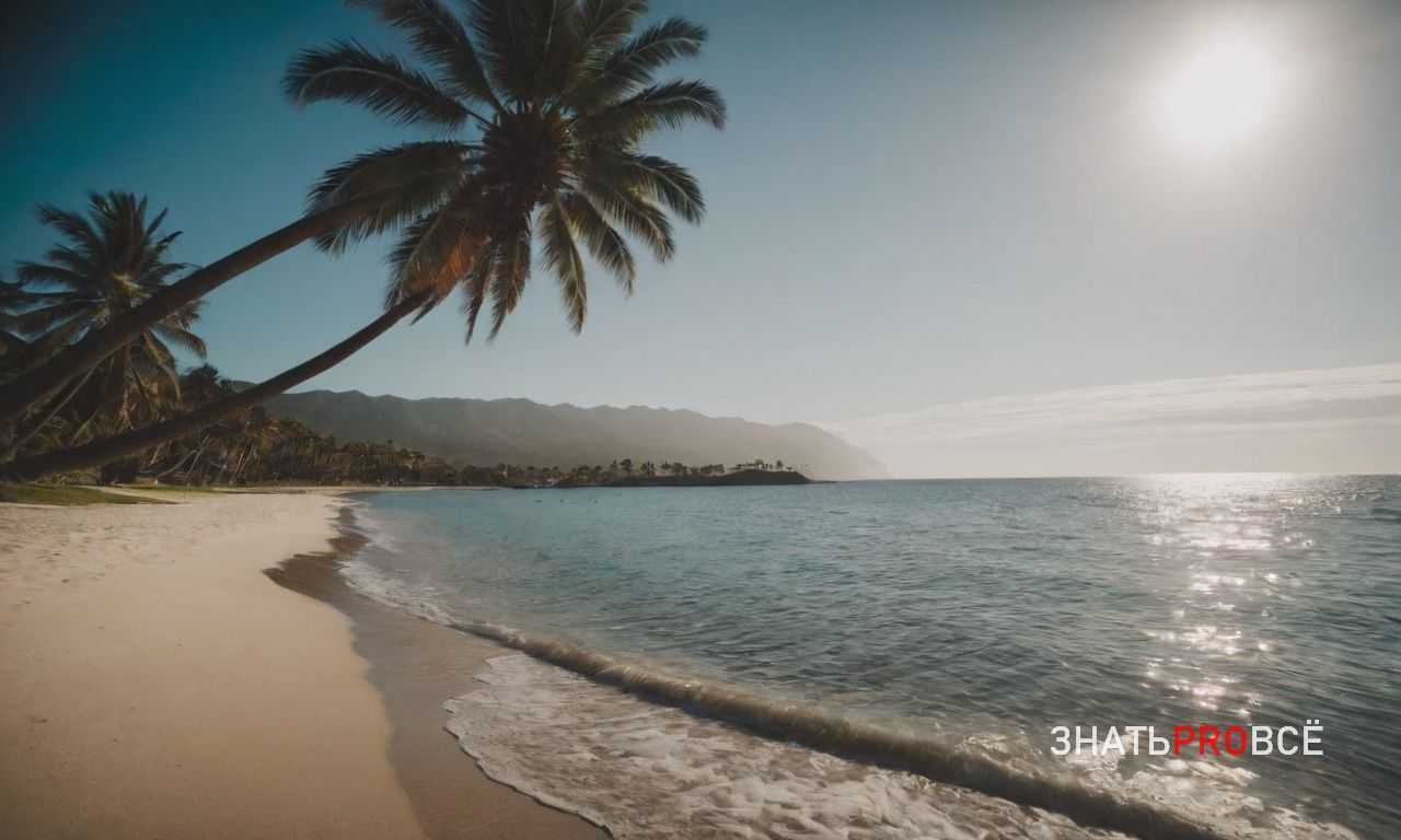 Подготовка к экотуризму в Амазонии