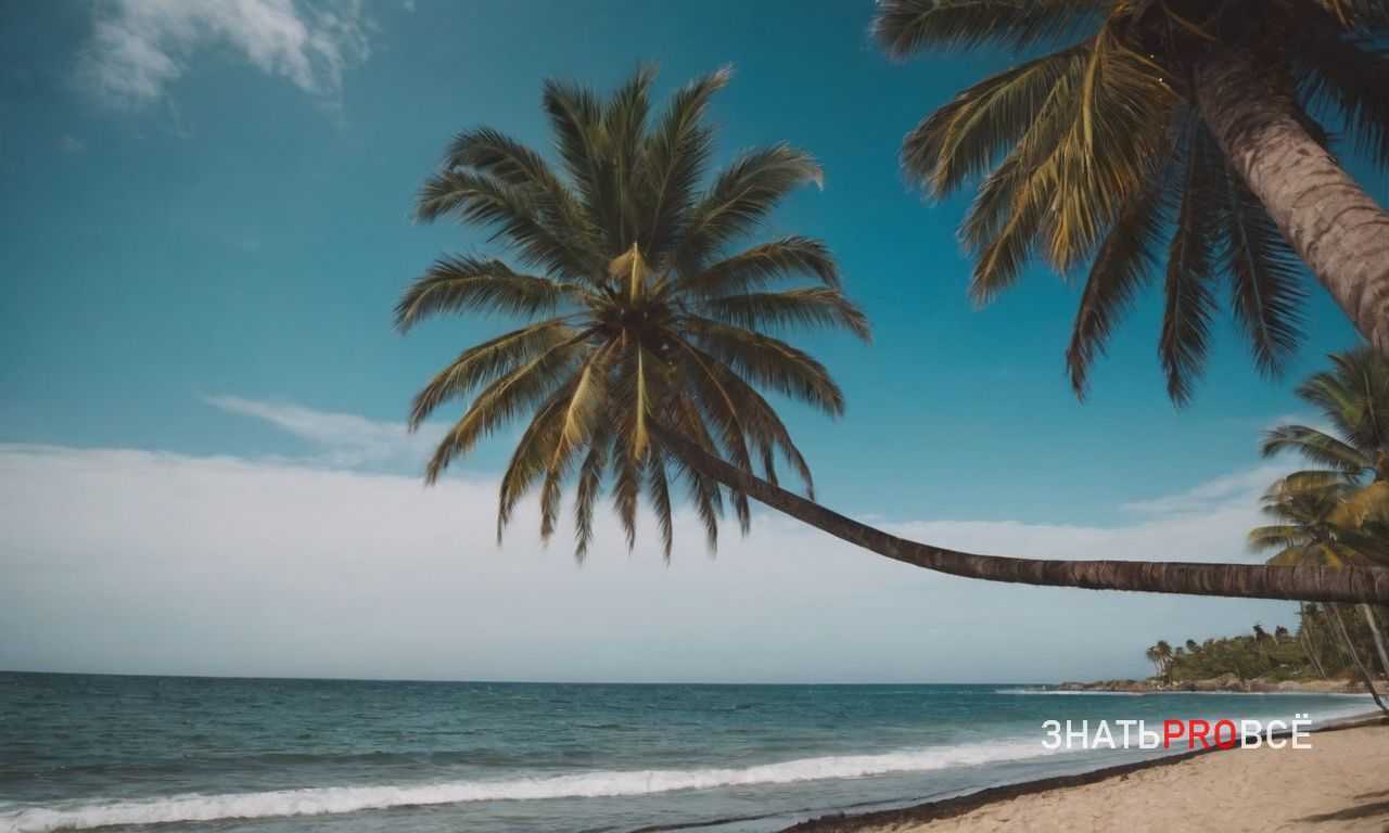 Как организовать поездку в Марокко на 7 дней: оптимальный маршрут