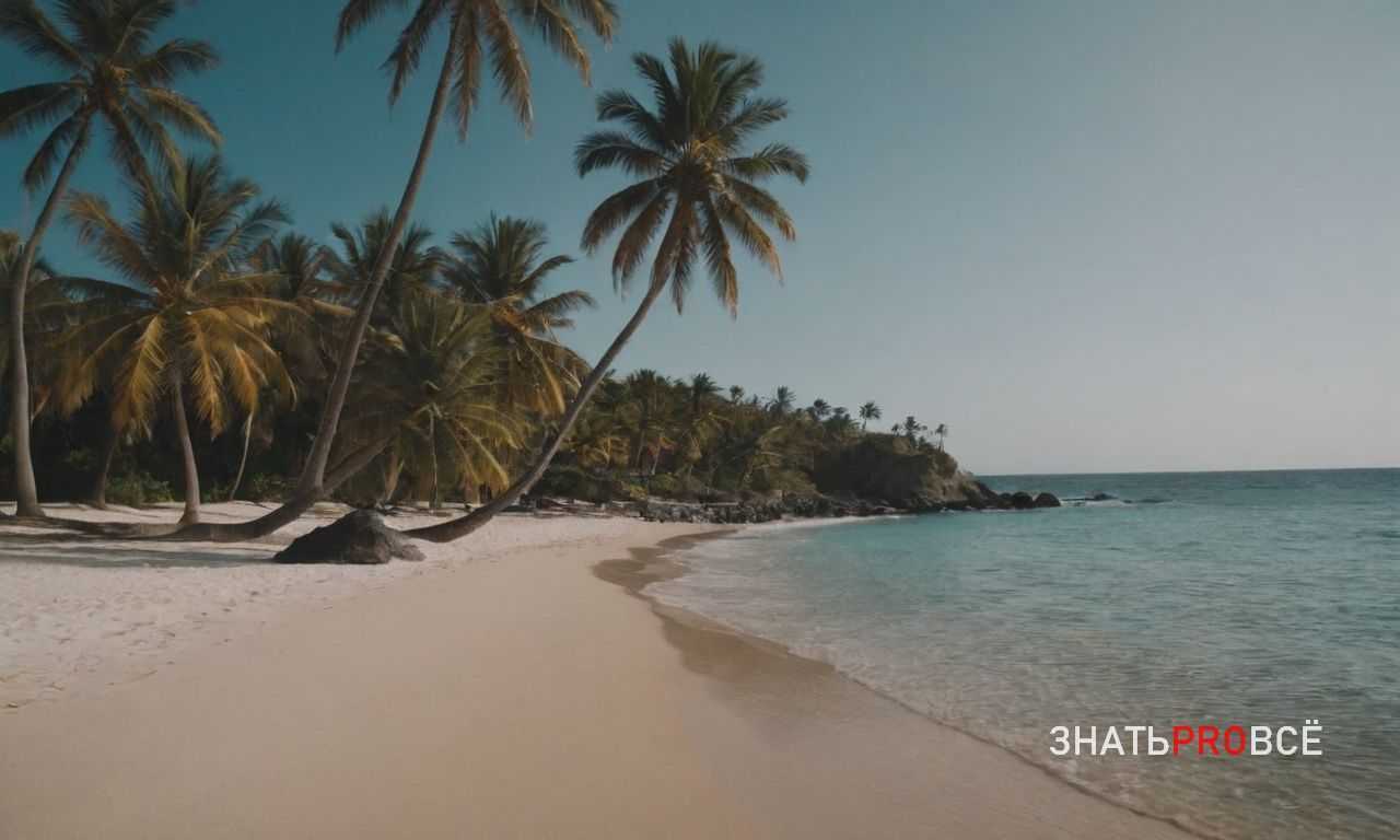 Как выбрать лучший маршрут для сафари в Капской провинции