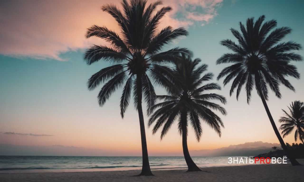 Как выбрать отель в Дубае для комфортного отдыха у пляжа