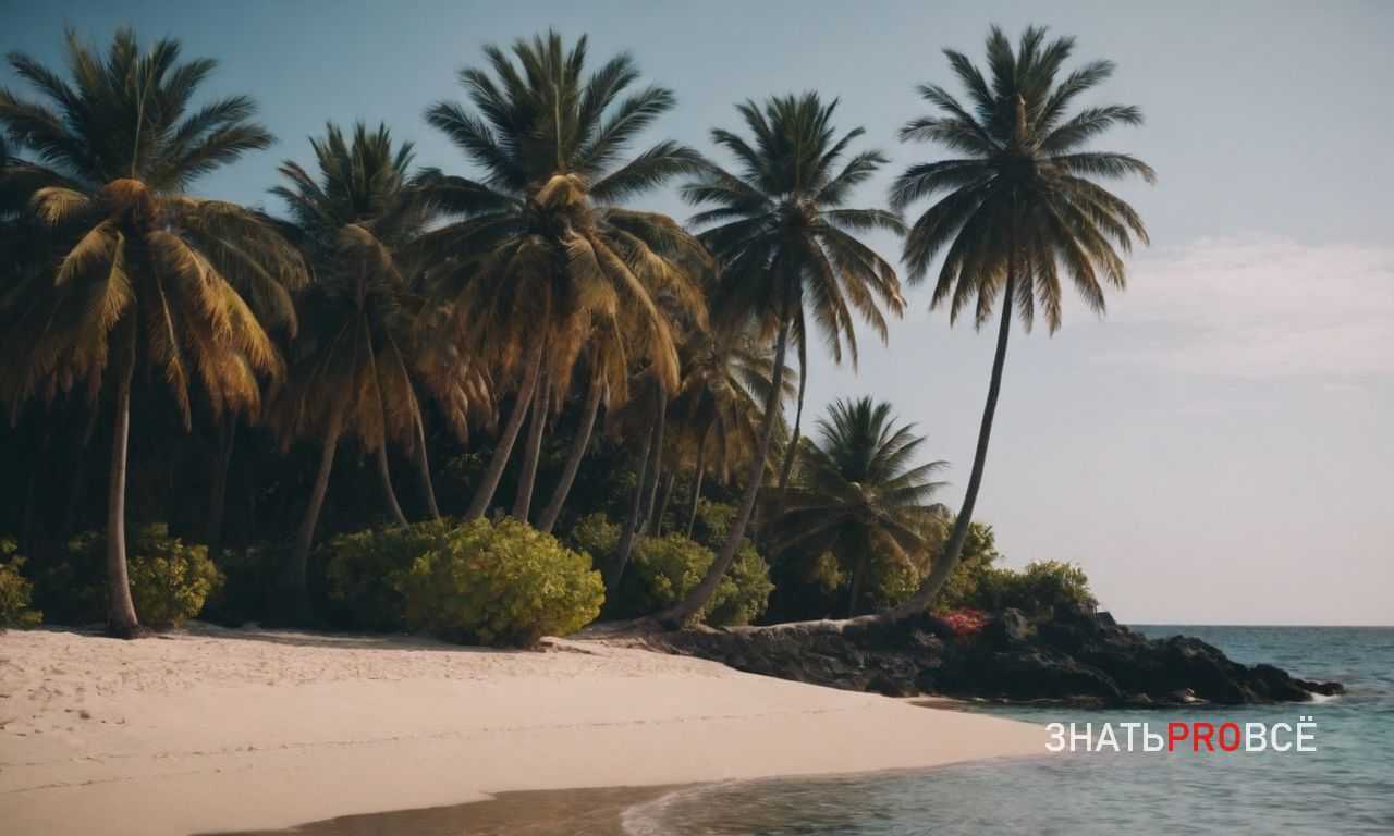 Лучшие места для наблюдения за дикой природой: китовые экскурсии и сафари на дельфинов