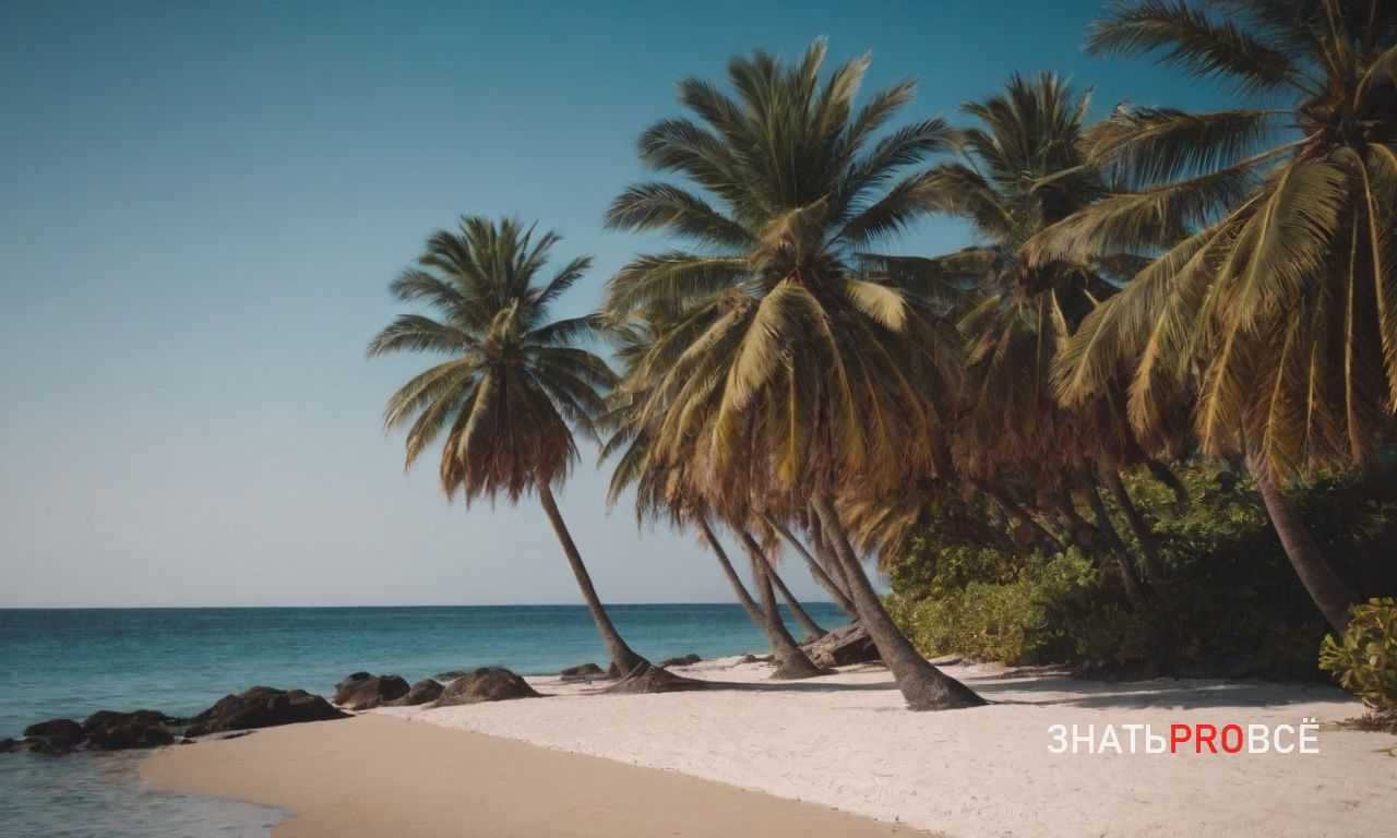 Как сэкономить на отдыхе на Мальдивах без ущерба для качества