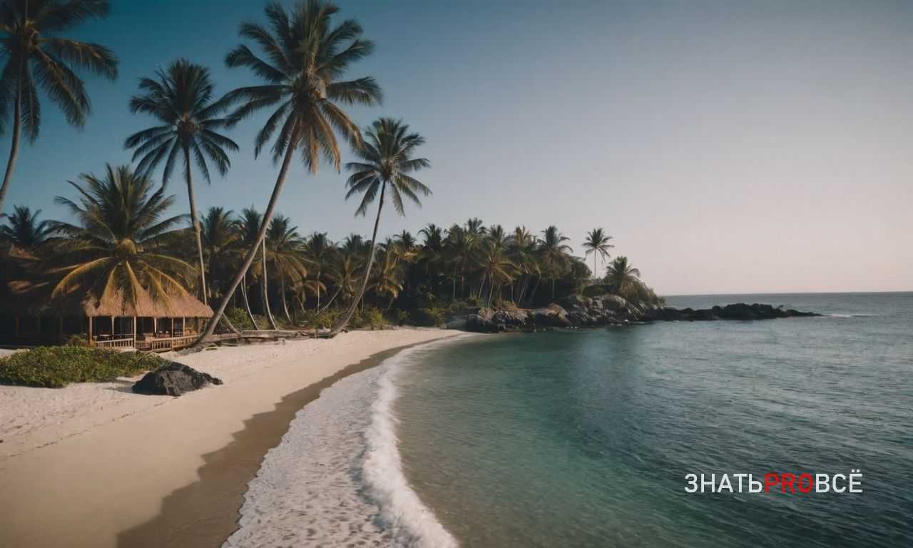 Пляжи и подводный мир