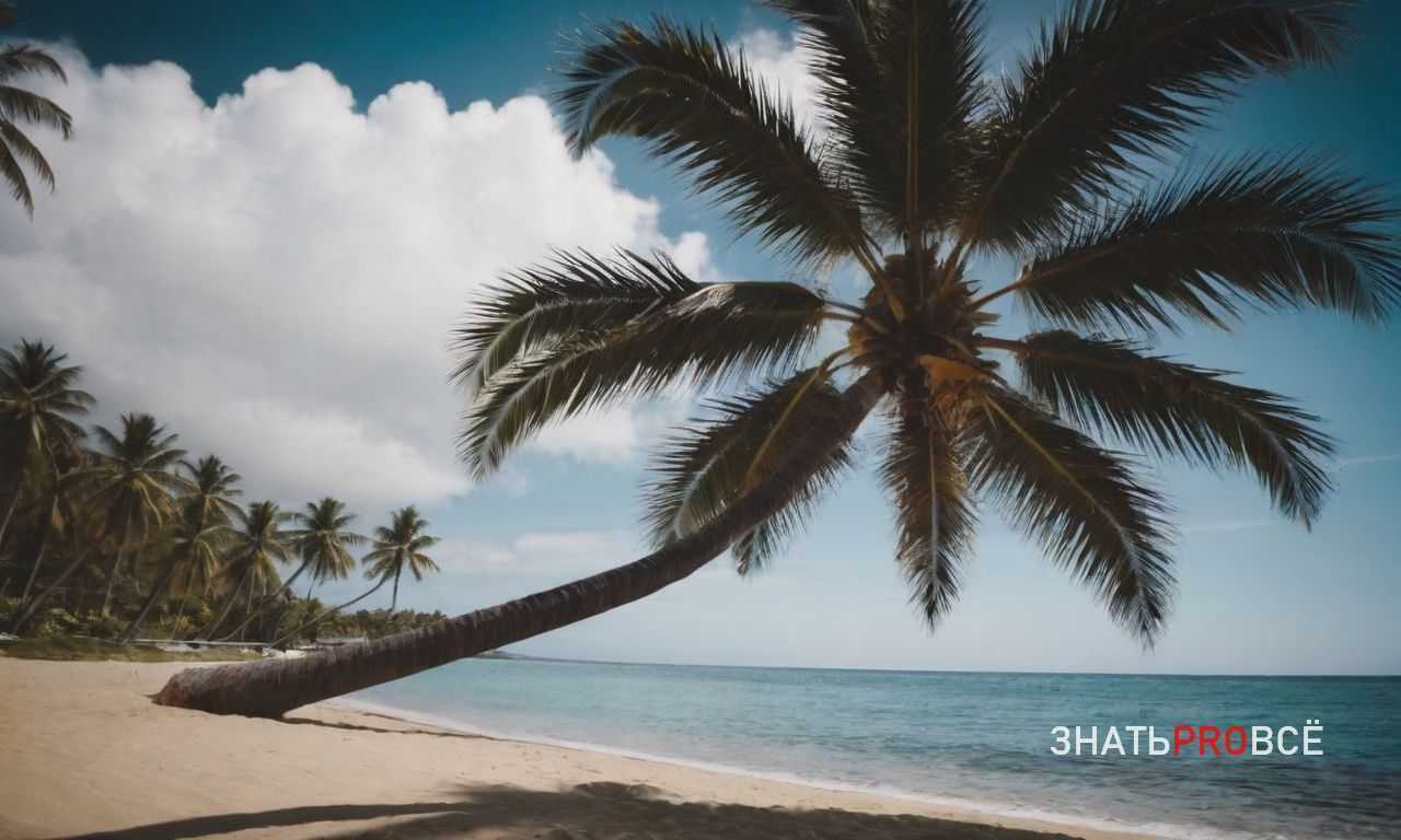 Национальные парки Танзании