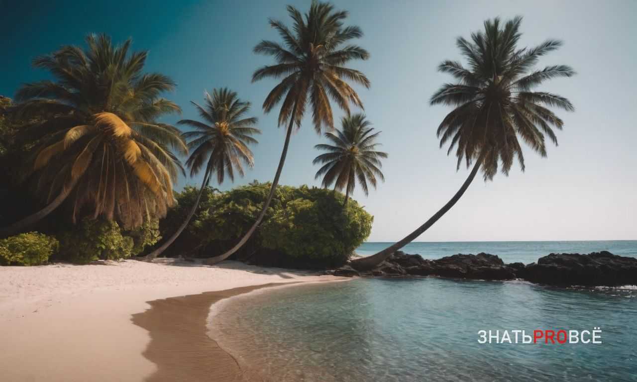 Туризм в Японии - храмы, сады и горы