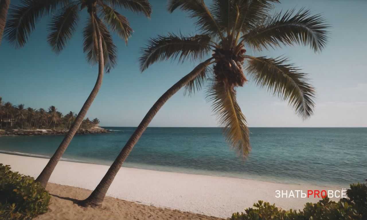 Маршруты по национальным паркам Намибии для любителей природы