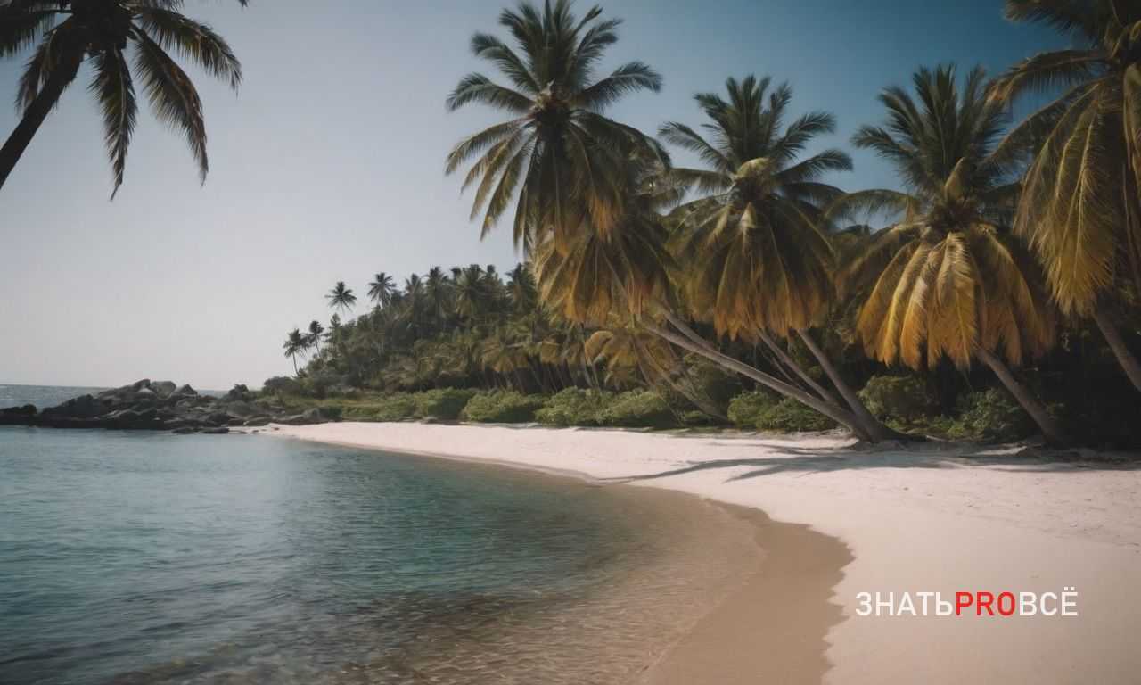 Экзотика Танзании - сафари и культурное наследие