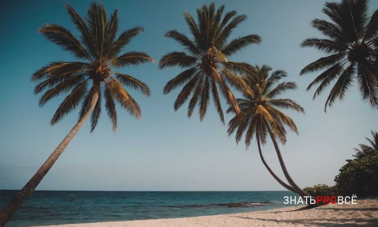 Как выбрать отель на Канарских островах для комфортного отдыха с семьей