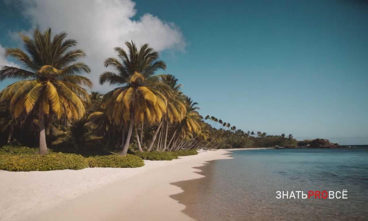 Какие особенности имеет дикая природа Коста-Рики?