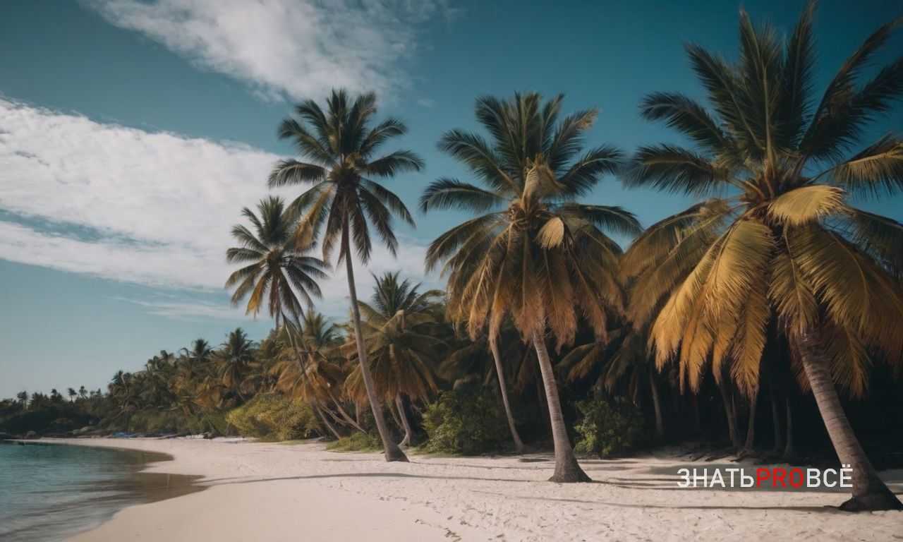 1. Изучите традиции и обычаи